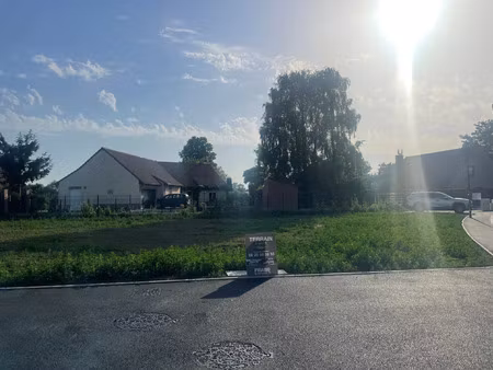 vente terrain 519 m² provin (59185)