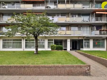 appartement à vendre à hoboken € 219.000 (lpnxv) - habicom hoboken | zimmo