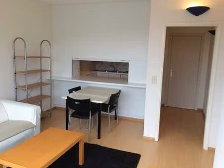 penthouse 1 chambre  meublé