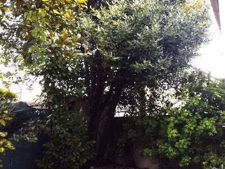 appartement rez-de-jardin