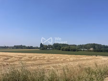 vente terrain agricole