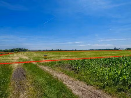 terrain à vendre à sint-lenaarts € 650.000 (lpmr8) - philippe verlinden | zimmo