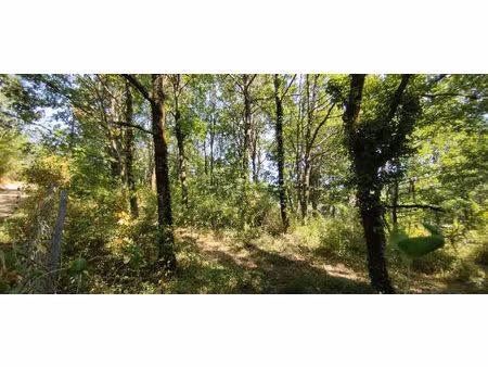 parcelle de terrain constructible d'environ 2000 m²