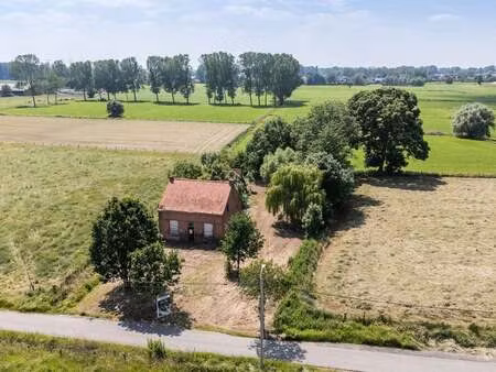 maison à vendre à temse € 545.000 (lpnpv) - patin vastgoed | zimmo