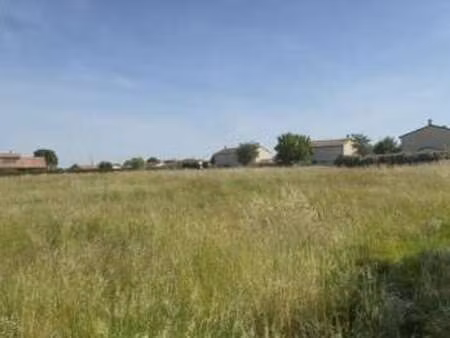 vente terrain à montech (82700) : à vendre / 7132m² montech
