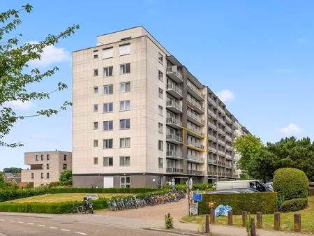 appartement à vendre à heverlee € 338.000 (lpnp5) - heymans vastgoed | zimmo