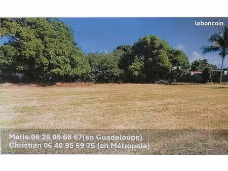 terrain constructible