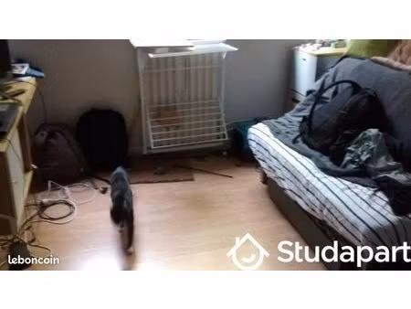 appartement 1 pièce 12 m²
