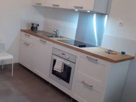 appartement rénové plein centre