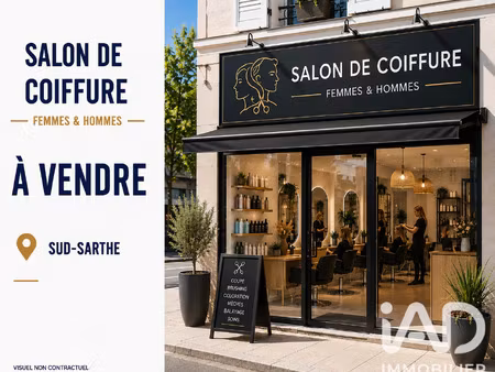 vente commerce 216 m² le lude (72800)