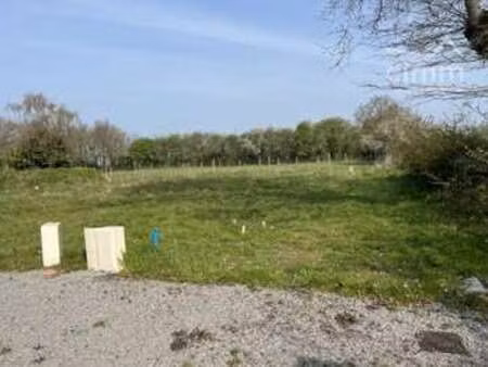 vente terrain à riaillé (44440) : à vendre / 550m² riaillé
