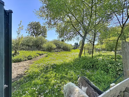 vente terrain de loisirs  guînes