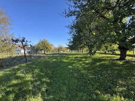 en vente terrain non constructible 1 255 m² – 168 800 € |burnhaupt-le-haut