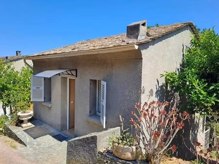 zenith immobilier