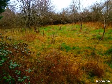 terrain 3 000 m² deols