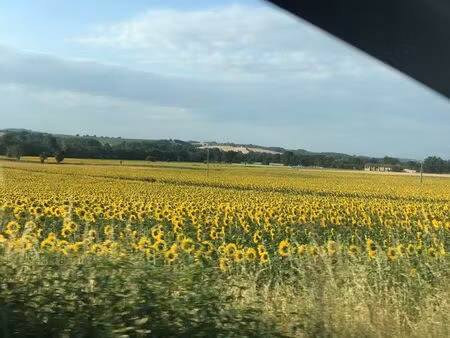 location court terme
