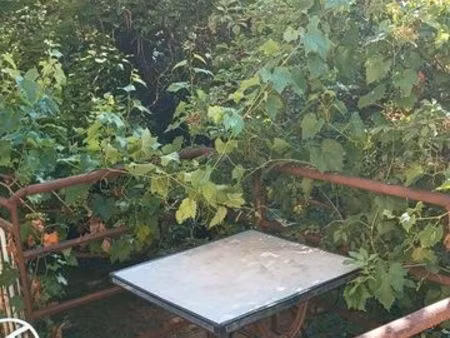 loue t2 au calme avec extérieur