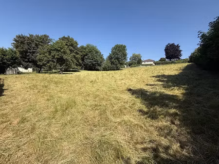vente terrain 3174 m² à celles-sur-durolle (63250)  35 000 €