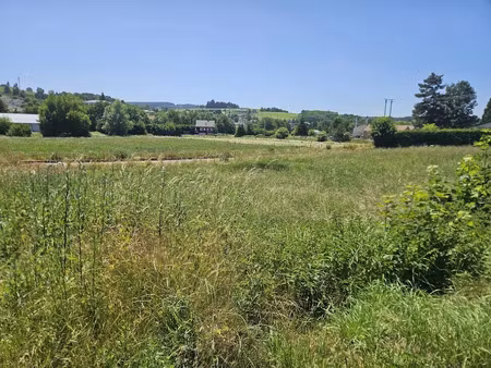 vente terrain à batir 1735 m² à tence (43190)  40 000 €