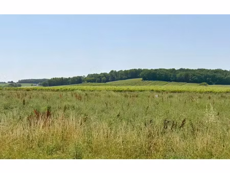 vente terrain 771 m² à flaugeac (24240)  42 405 €