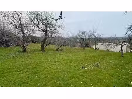 vente terrain 1600 m² à aixe-sur-vienne (87700)  44 800 €