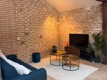 location appartement 2 pièces meublé à albi (81000) : à louer 2 pièces meublé / 41m² albi