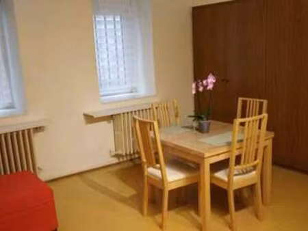 location appartement 2 pièces meublé à strasbourg (67000) : à louer 2 pièces meublé / 50m²