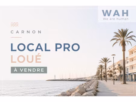 à vendre murs commerciaux loués carnon-plage