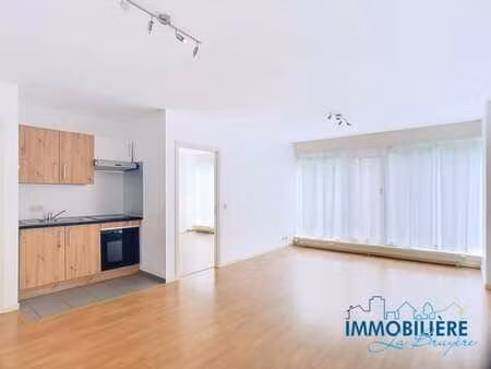 appartement 1 chambre totalement rénové