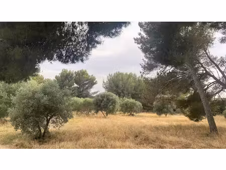 vente terrain 519 m² à saint-chamas (13250)  225 000 €
