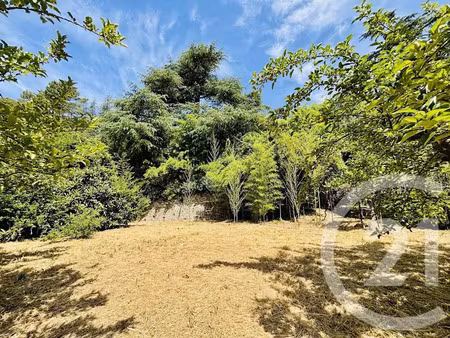 vente terrain à batir 1667 m² à saint-jean-du-pin (30140)  99 000 €