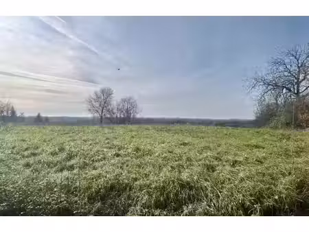 vente terrain 1331 m² à polliat (01310)  89 000 €