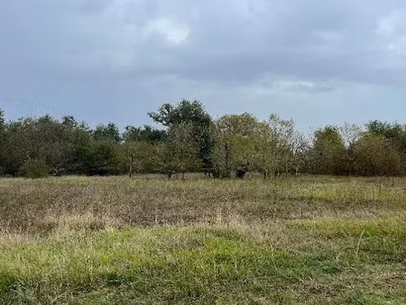 vente terrain 752 m² à cezac (33620)  87 000 €