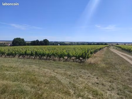 parcelles bio vignes & terre - chenin/cabernet franc
