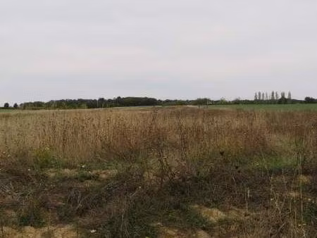 bien agricole 6940 m² loches