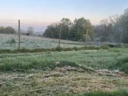 maison meublée avec 2 hectares attenants - idéal propriétaire de chevaux