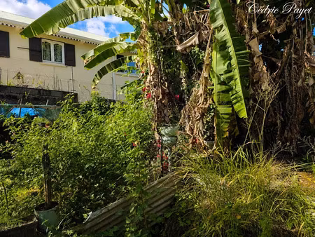 vente terrain 410 m² à la riviere (97421)  115 000 €
