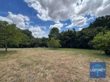 vente terrain à chaillé-sous-les-ormeaux (85310) : à vendre / 787m² chaillé-sous-les-ormea