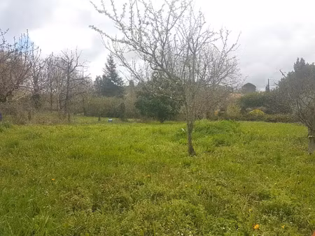 vente terrain 955 m² à villeneuve-tolosane (31270)  151 000 €