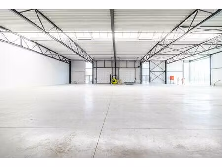 surface industrielle à louer à rue du polissou 38 ciney (vbe39885)