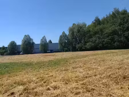 vente terrain 3233 m² à wattrelos (59150)  299 500 €