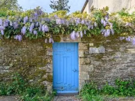 vente maison à rochefort-en-terre (56220) : à vendre / 282m² rochefort-en-terre