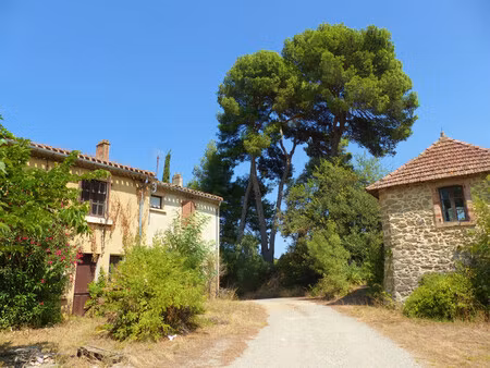 commerce à vendre à couffoulens (11250) - aude