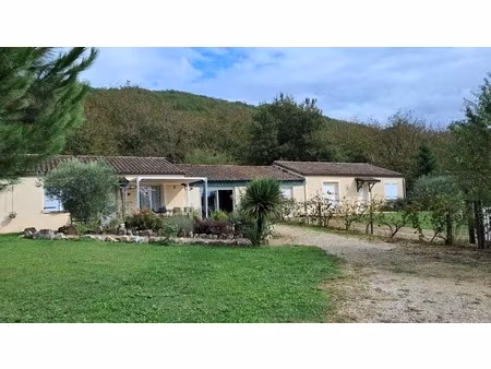 ensemble de deux maisons à vendre 7 pièces proche martel (46)