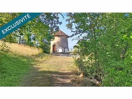 moulin  vignes et vue pyrénées à 360°