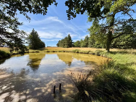 vente terrain de loisirs  chémery
