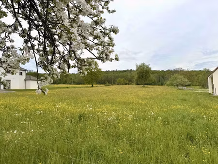 vente terrain 1941 m² durmenach (68480)