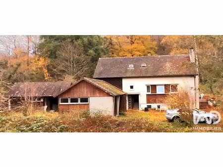 maison de campagne à moutiers-en-puisaye (89520)