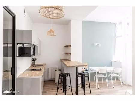 t2 meublé de standing vieux lille avec terrasse et parking