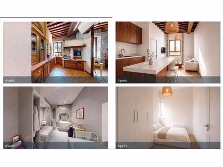 grand lyon immobilier
